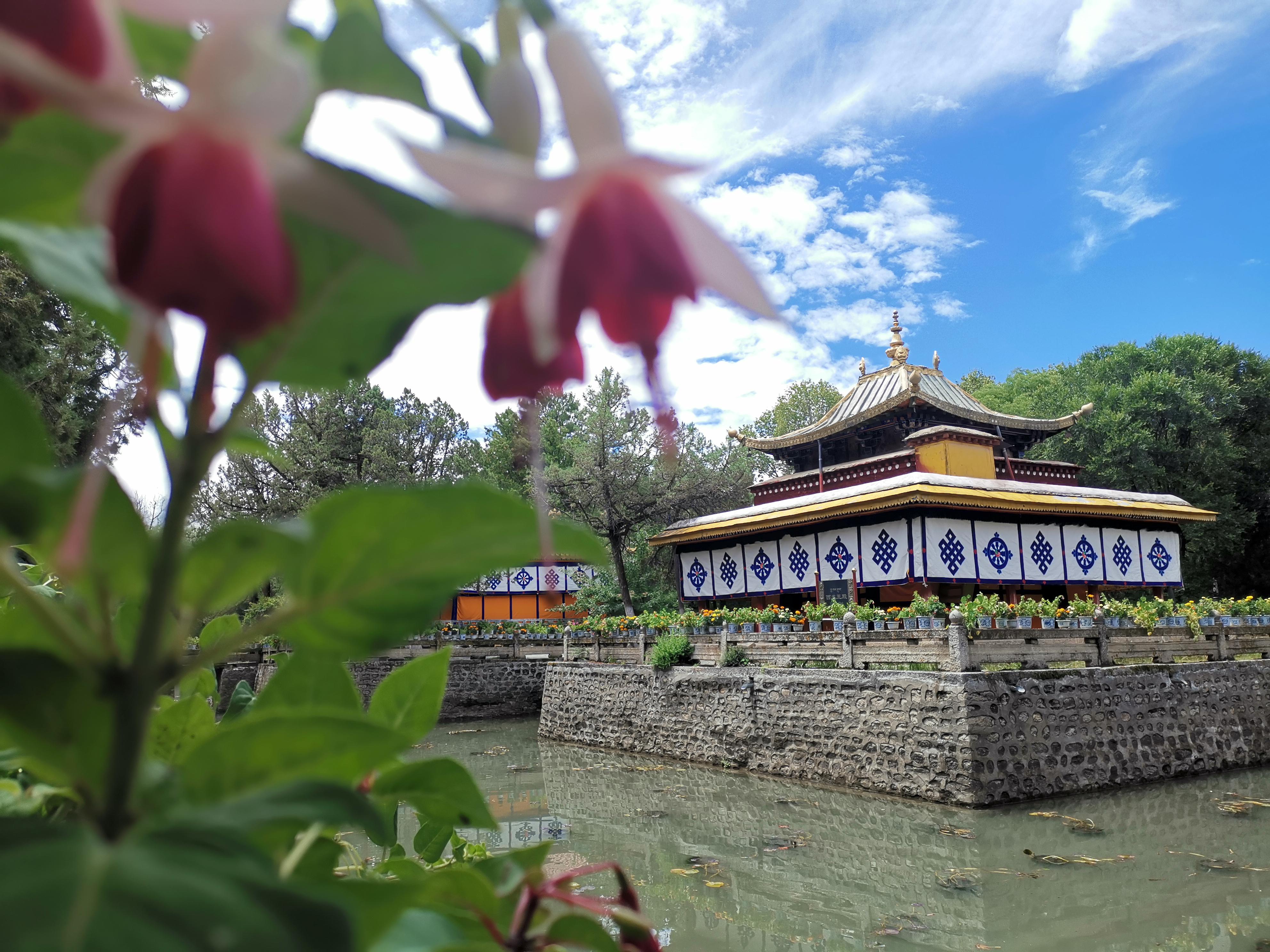 西藏拉萨这个城市好吗,拉萨市区是什么样的地方