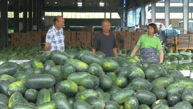 西瓜价格有望回升吗,西瓜价格回升