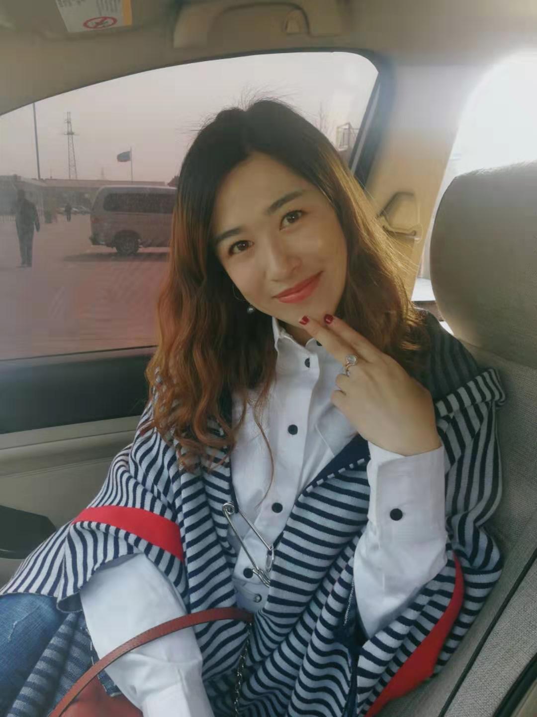 流浪的猫作品介绍,流浪的猫电影