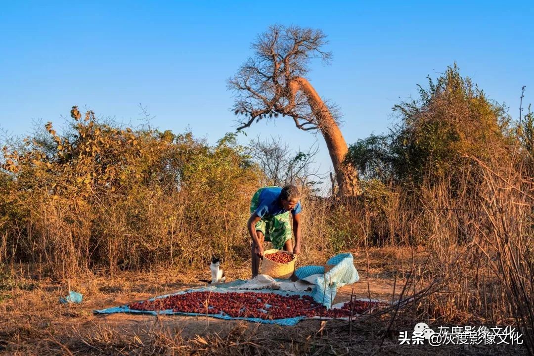 摄影人与自然和谐共生,摄影人像一生有爱