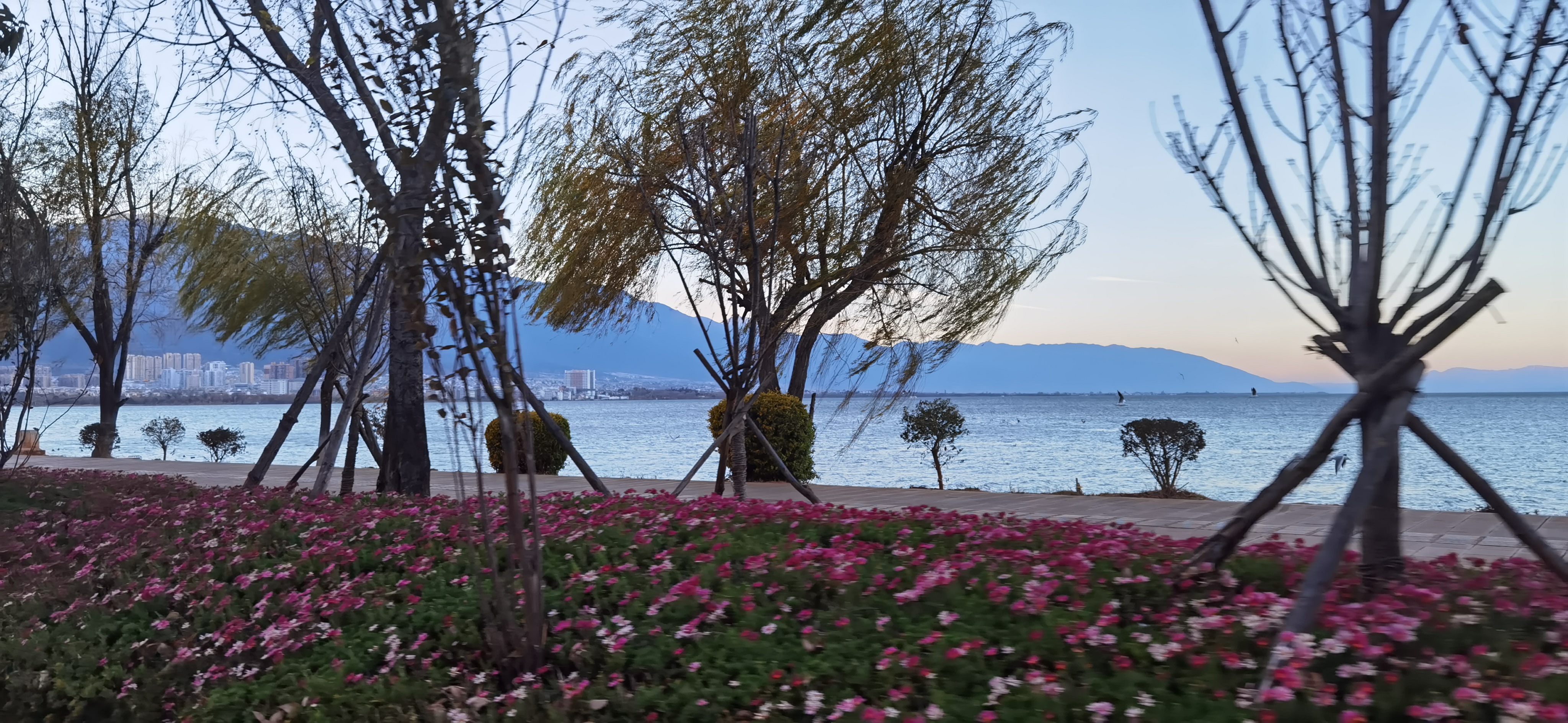 四线城市大理,大理最贵的房价是哪里