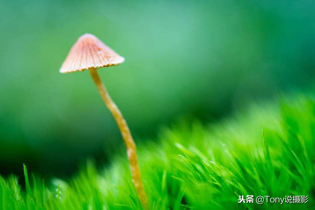 佳能单反相机入门教程5d2摄影教程,d7000单反摄影入门教程