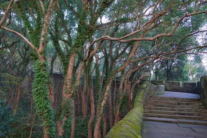 有个美丽地方叫青田,台州市美丽的地方