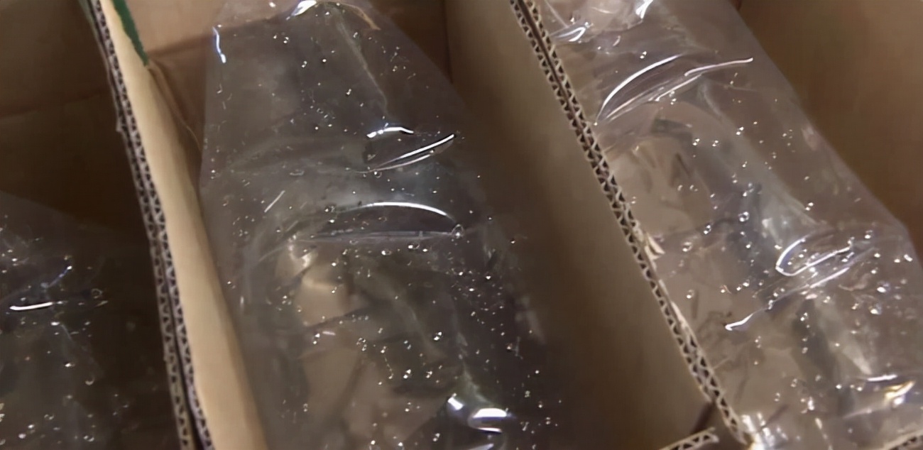 泥鳅养殖致富案例,80后小伙返乡养泥鳅