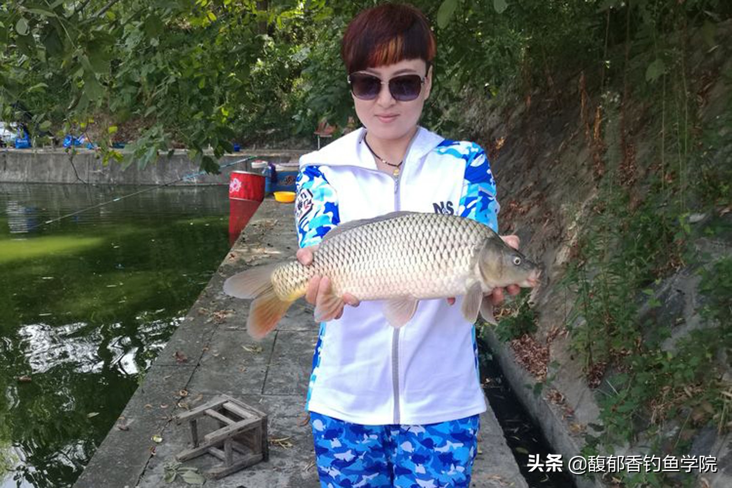 麻团颗粒钓什么鱼,麻团颗粒钓底钓浮