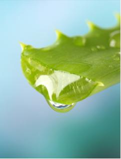 你以为美人拼的是五官？！太天真，A24告诉你美人应该要这么做