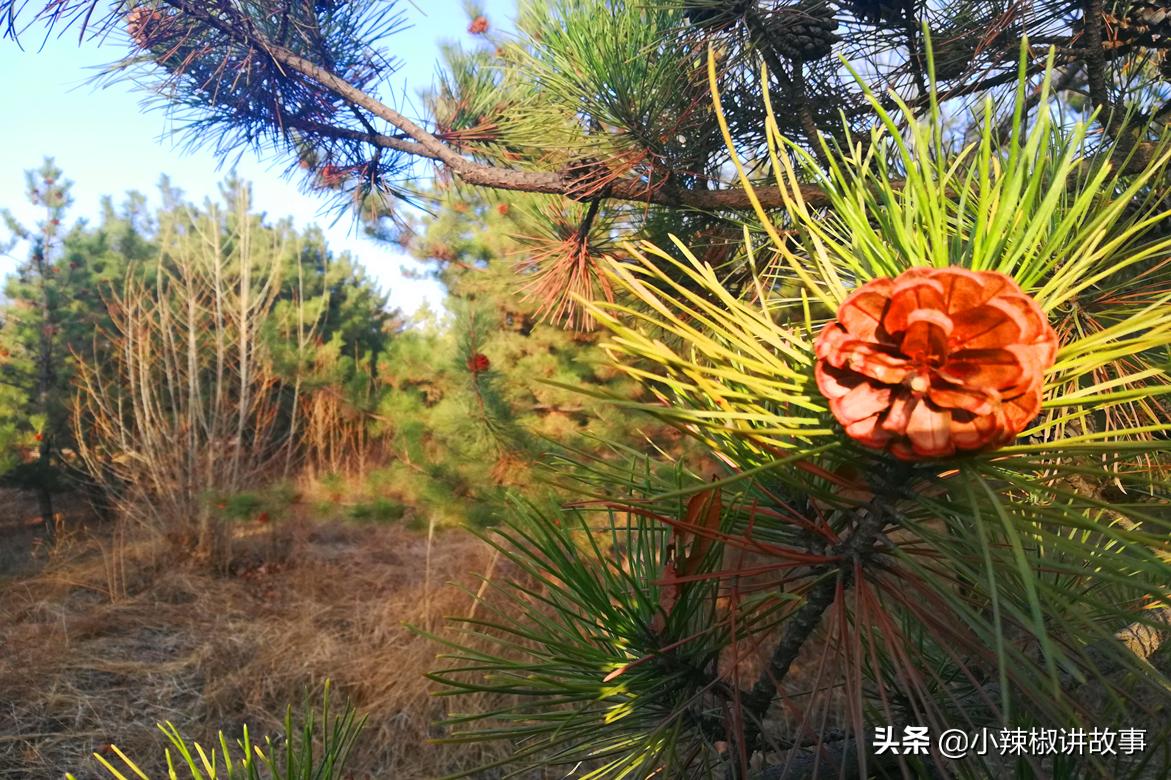 安妮生气了绘本,安妮生气的时候