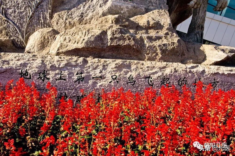大美朝阳宣传片,大美朝阳一角的夜景