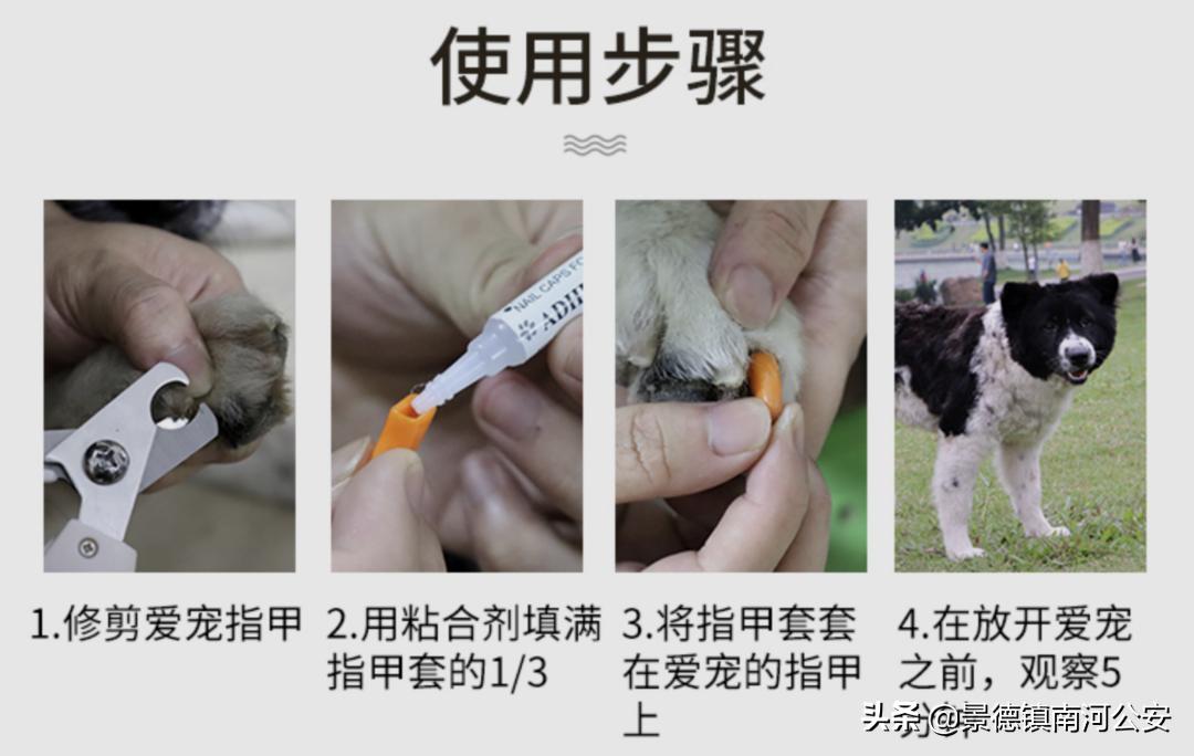 “割声带、截肢、电击,当爱变成我的噩梦”