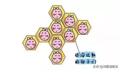 手把手教你看懂性激素六项检查单,怎样看懂性激素六项报告单孕酮