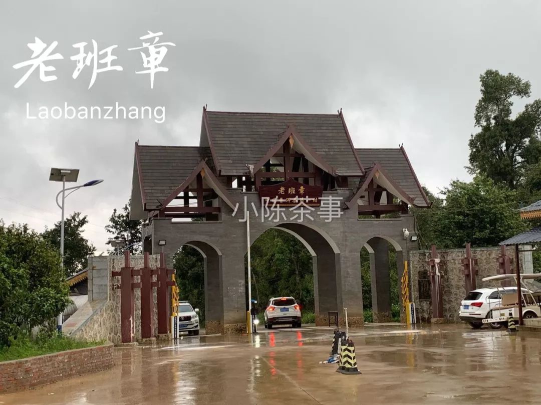 普洱茶古树茶小众山头,普洱茶古树茶与台地茶的区别在哪