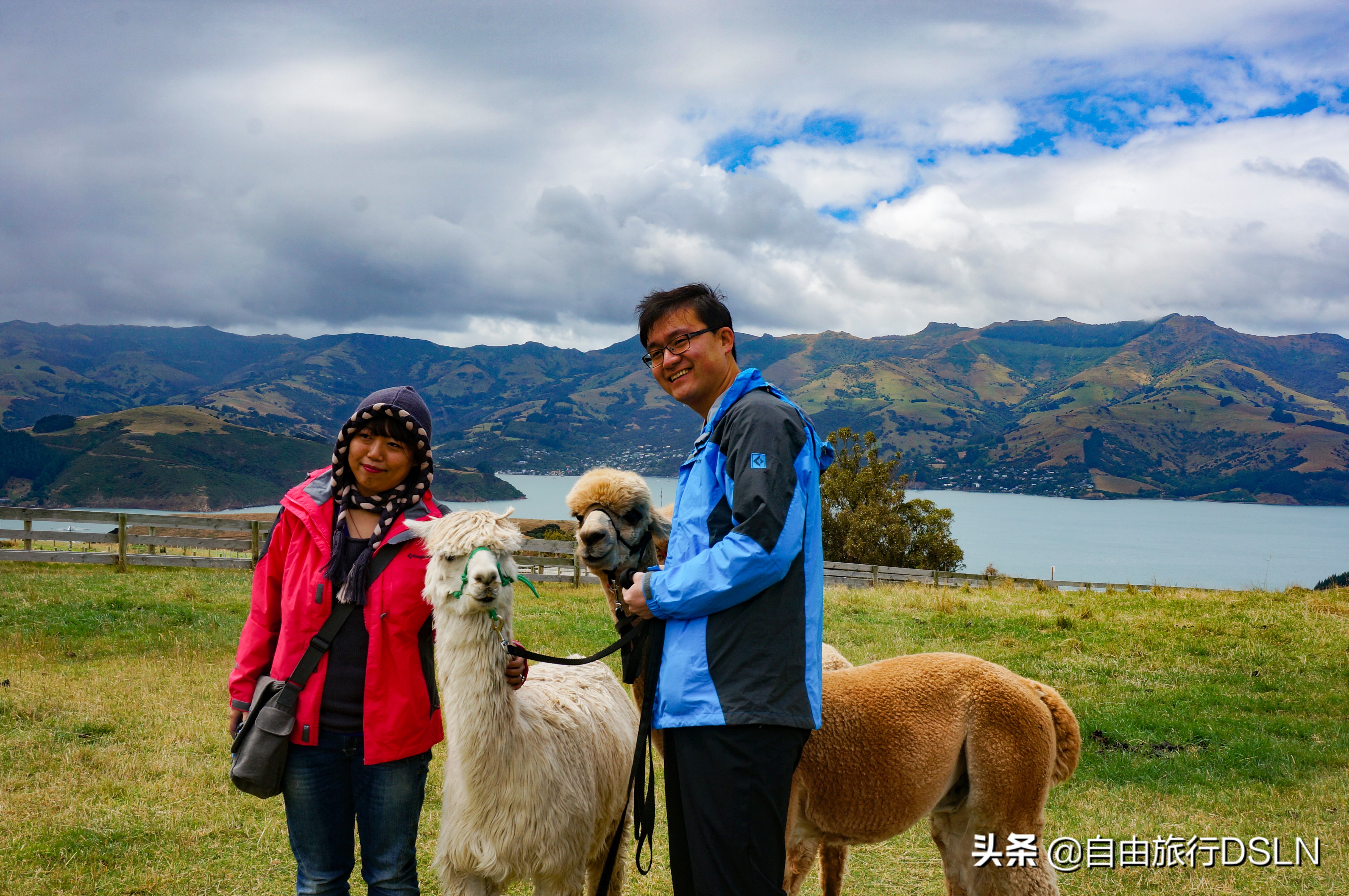 我们夫妻的身体变形记，减肥来之不易，恶心自己高兴别人