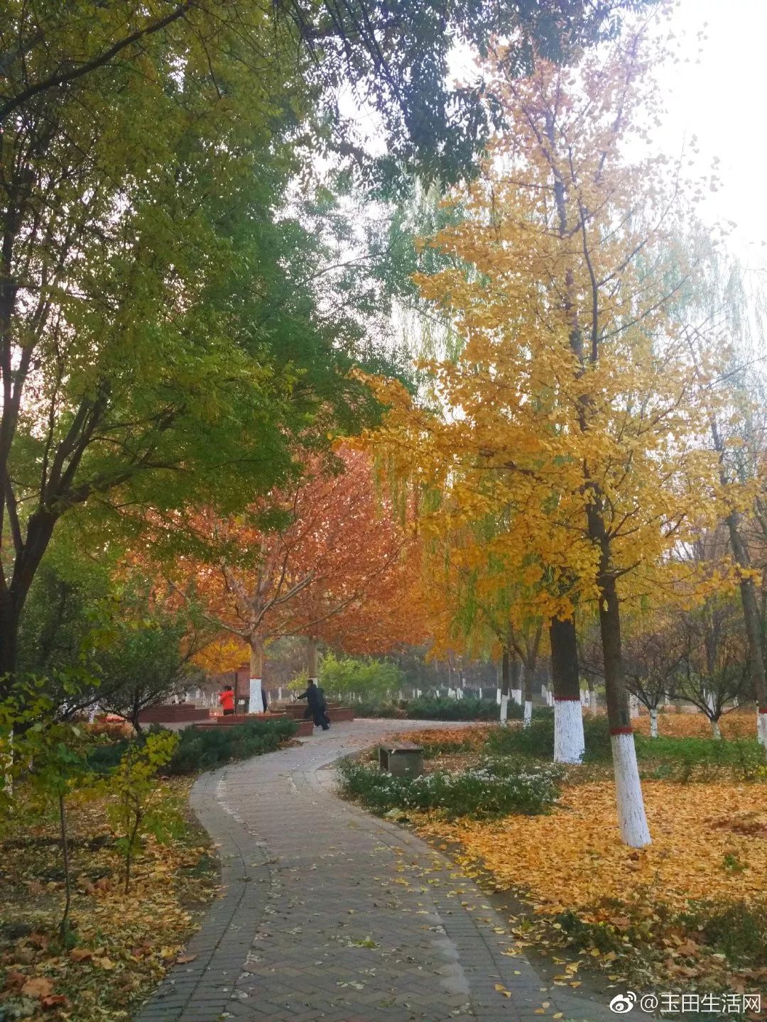 玉田县什么时候能发展一下,玉田是个怎样的地方