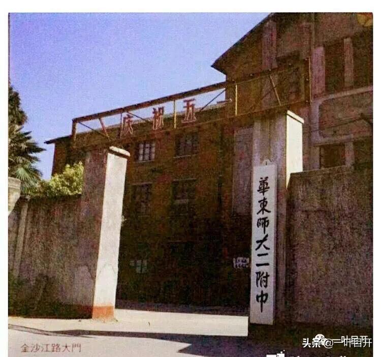 “进而不宣，华自成章”，“一叶先生娘家人”进华之初体验