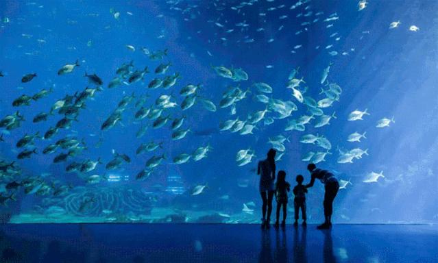 珠海酒店推荐性价比高便宜靠长隆,珠海长隆住哪个酒店性价比比较好