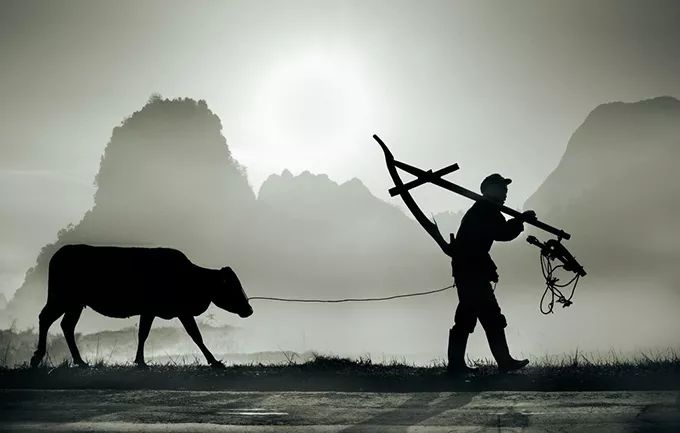 我的自考经历和感受,自考真实的经历