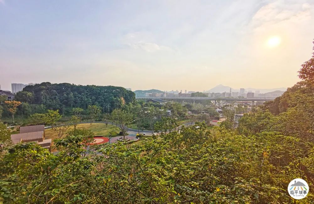 临平体育馆改扩建有篮球场吗,体育公园篮球场施工