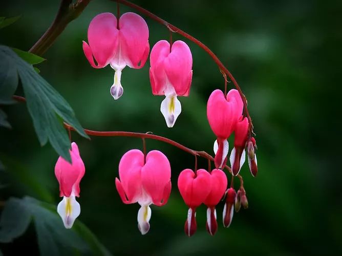 藏头藏尾诗100首,藏头藏尾的诗