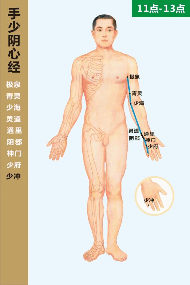 零基础学习中医按摩,零基础学中医按摩