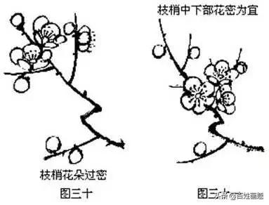 国画梅花画法视频,徐湛梅花画法教程