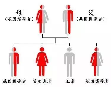 基因测序的深度解析,基因测序基本知识
