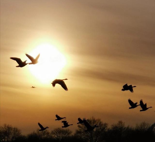 手拍世界手机摄影平台,手拍世界摄影平台