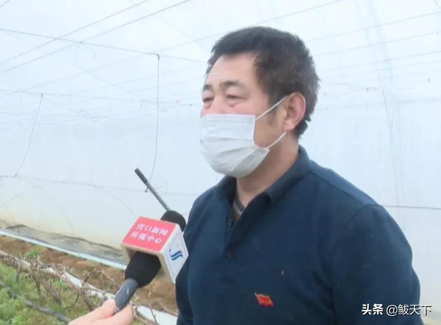 党员齐上阵抗疫保生产,沿滩党员干部奋战一线抗疫保春耕