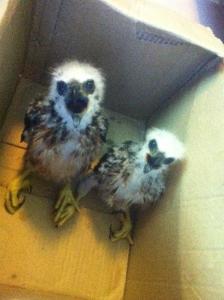 中国海南省位于哪个地区,海南省简介概况