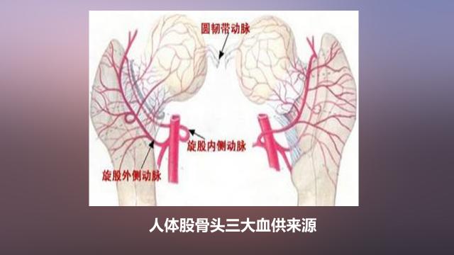 髋关节疼痛自愈的最佳方法,髋关节疼痛走路一瘸一拐