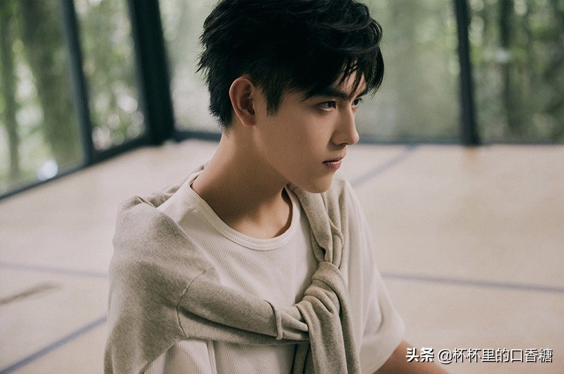 十大明星评价王一博,抖音公认十大帅哥王一博