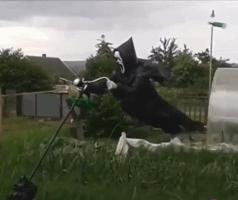 天台李子柒,大爷大妈们活的多么潇洒