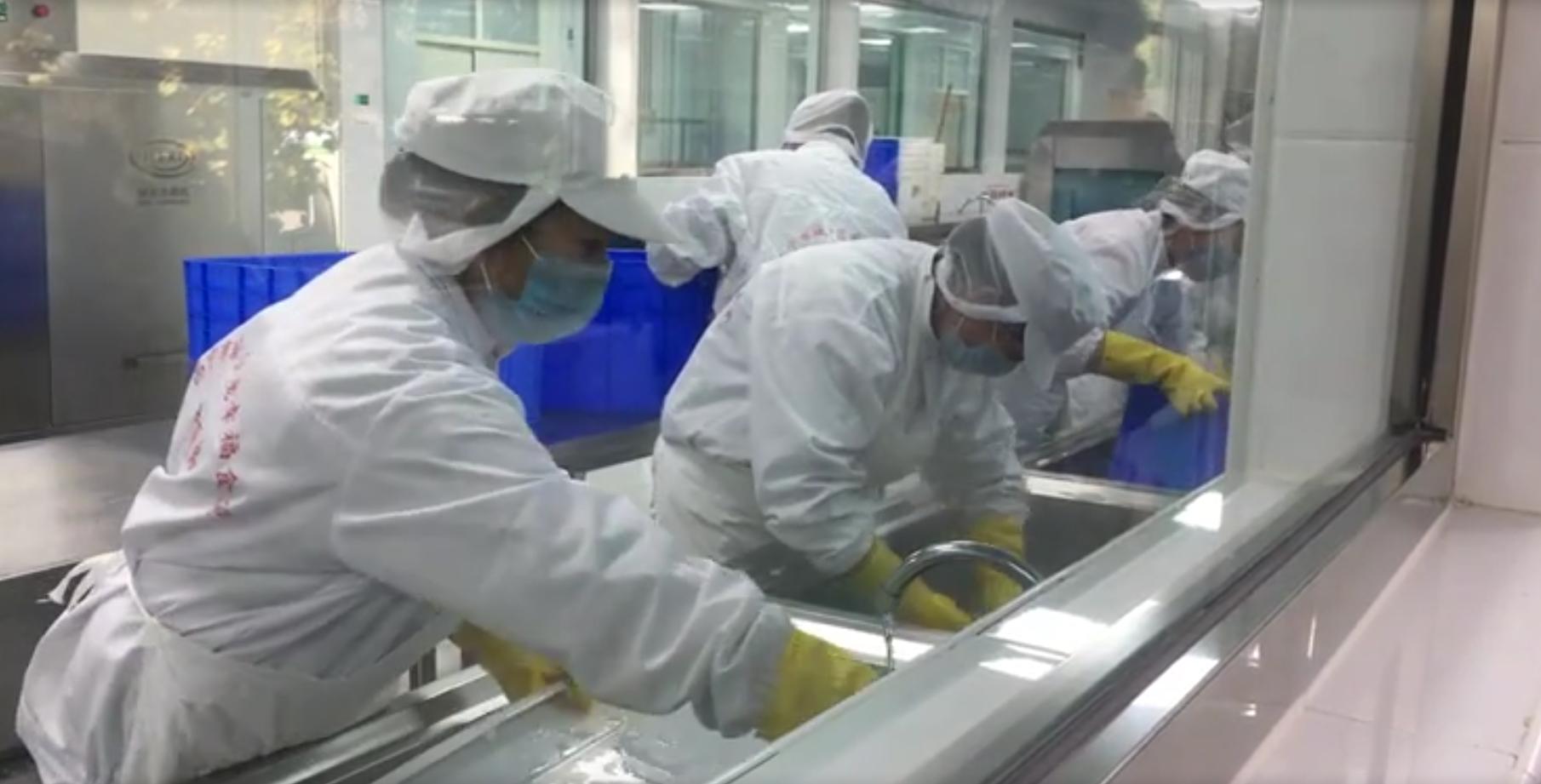 “青”眼相看70年拍客走进“爱老幸福食堂中央厨房”