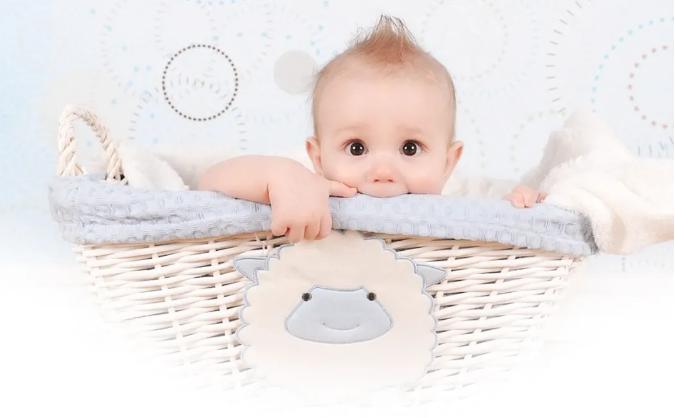 羊奶是针对过敏体质的宝宝吗,牛奶过敏的宝宝适合吃哪款羊奶