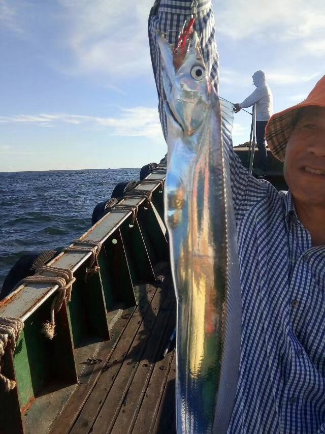 深海带鱼冷知识,带鱼的冷知识