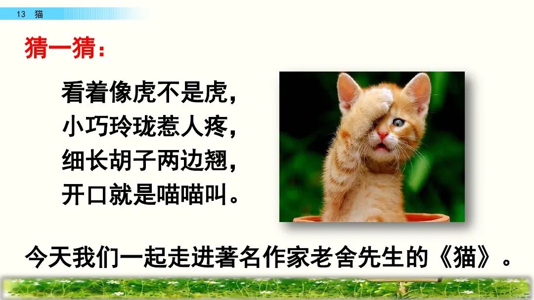 四年级下册语文13课猫课文解析,部编版四年级下册13猫教学视频