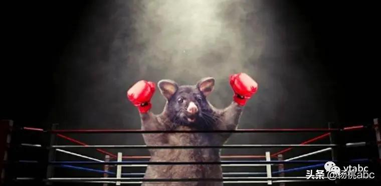 带你看新西兰风景,去看一次新西兰风景