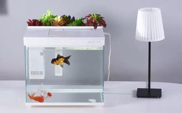 灏忕背鏅鸿兘鎶曞杺楸肩几,灏忕背绫冲鏅鸿兘楸肩几鎬庝箞鎺у埗鐏厜