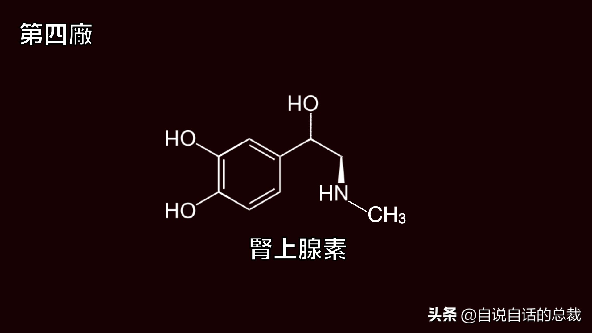 全世界的柠檬都读Lemon?这背后有一个刻在8号染色体上的上古故事