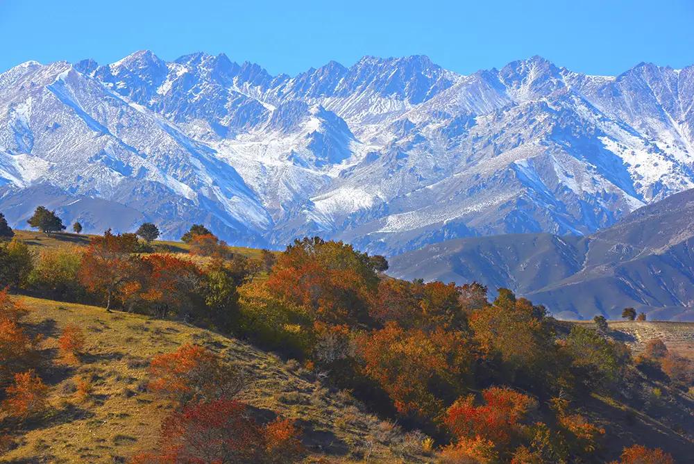 作诗的另一种叫法,用修辞手法写诗