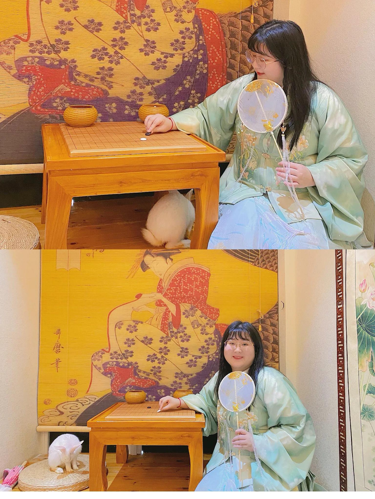 重庆探店｜换装撸猫撸羊驼撸龙猫，高萌预警