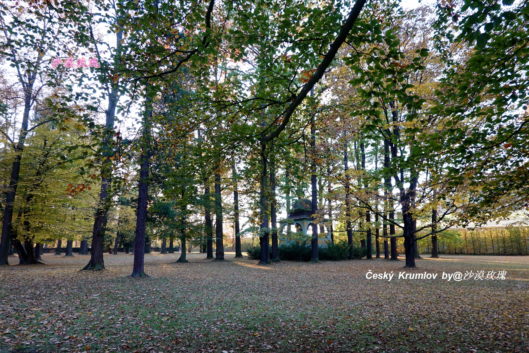 捷克最美城堡在哪,捷克最美小镇视频