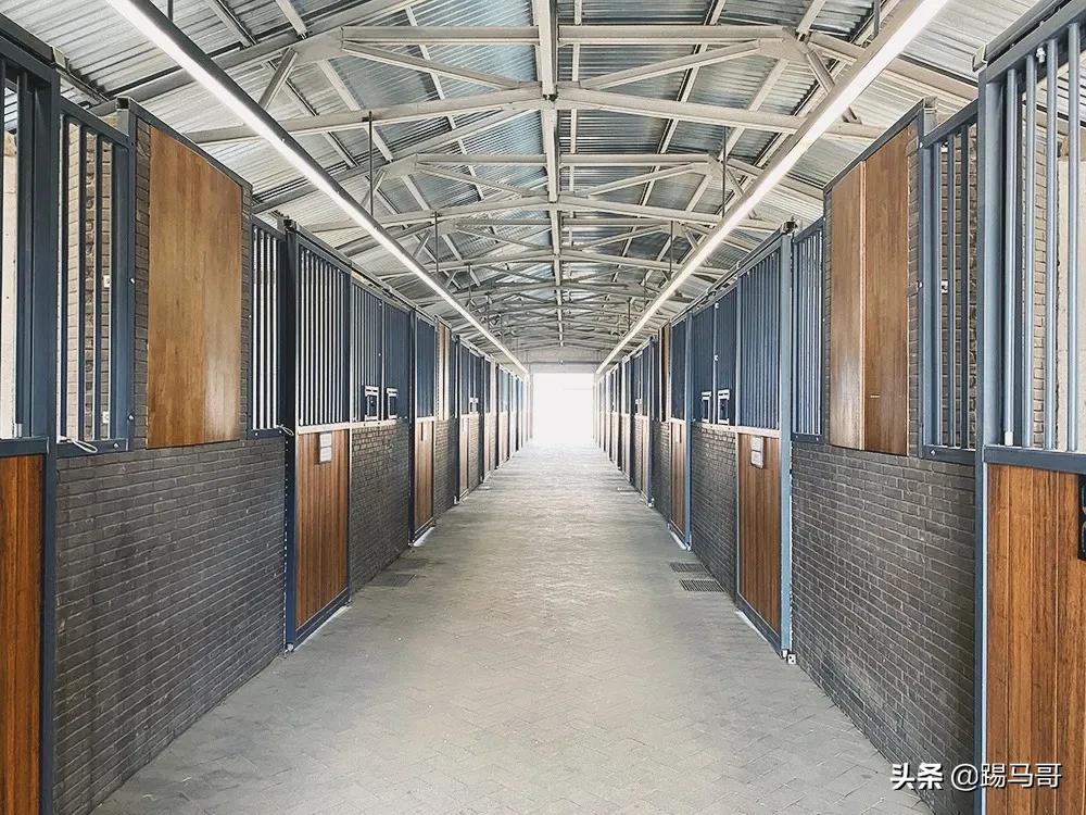 阿那亚必打卡地,阿那亚拍照打卡地