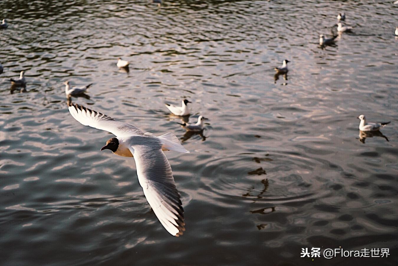 我们的侣行还在拍吗,我们的侣行2019破冰之旅