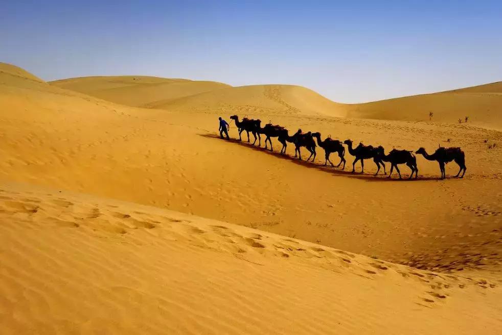 北疆的美完整版,北疆的景最美