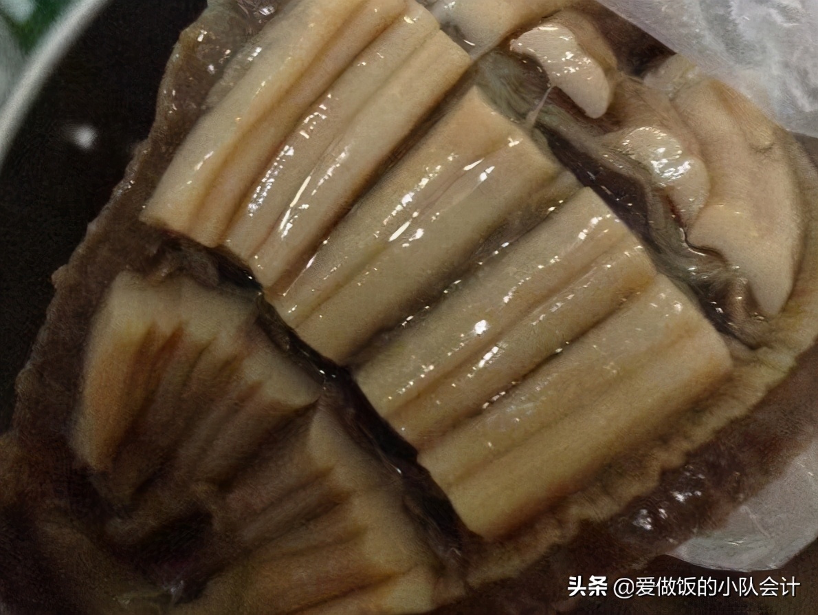 海参怎么发?告诉你海边人的方法,发出来又大又弹口感好,很实用