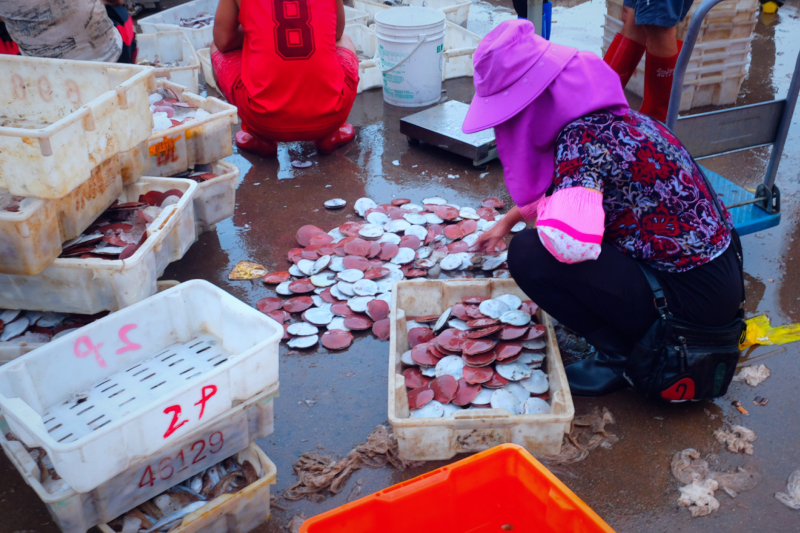 广东湛江景点及美食攻略,广东游记湛江市最美味的海鲜