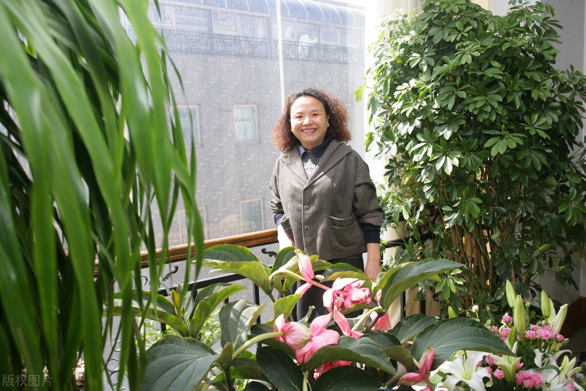 园林女皇何巧女现状,园林何巧女