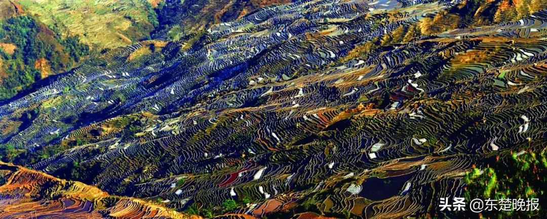 元阳梯田脱贫,红河哈尼族彝族自治州扶贫