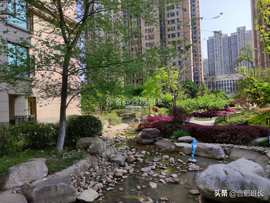 合肥滨湖新区四十六中附近,滨湖四十六中南校区有万科楼盘吗