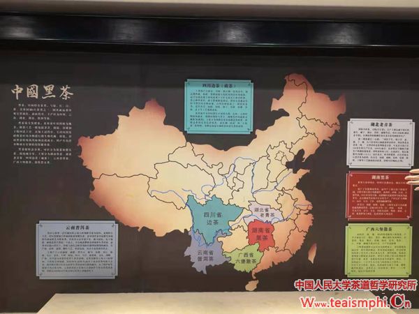 今日茶道李锡洪：良月之花木芙蓉及与木芙蓉相关的茶